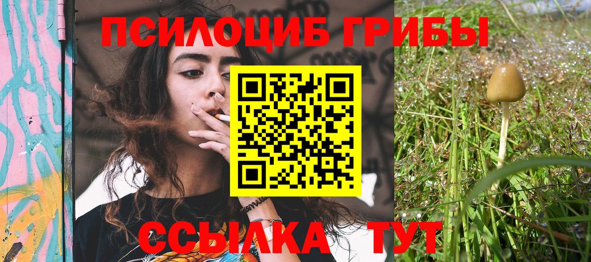 Галлюциногенные грибы мухоморы Астрахань