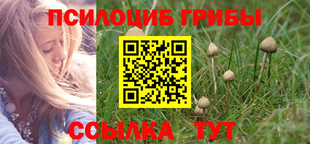 Астрахань  Псилоцибиновые грибы мицелий  Вход с VPN  Псилоцибиновые грибы GOLDEN TEACHER 